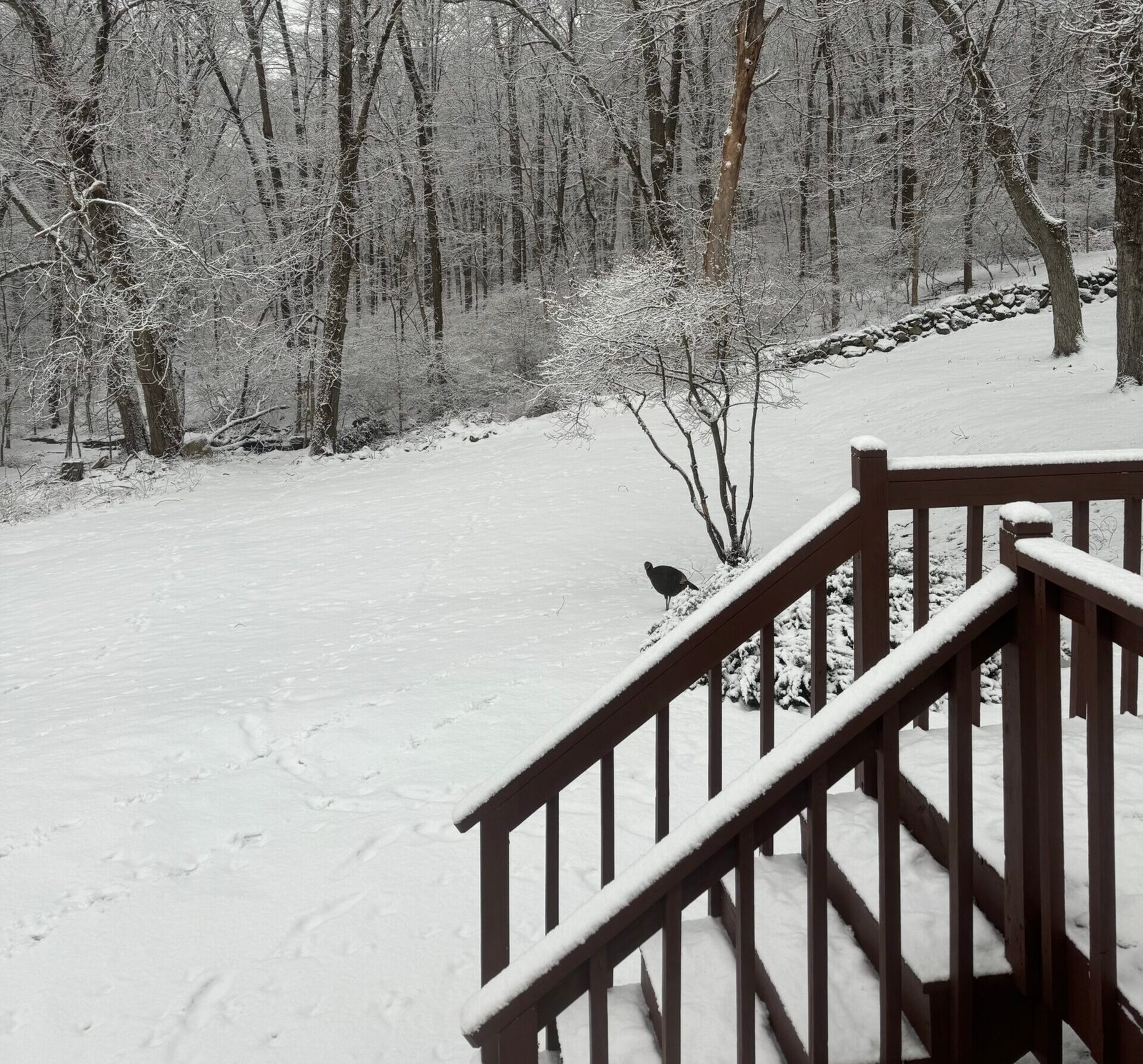 Everyone Loves Snow Days (well, almost)